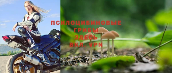 шишки Балабаново