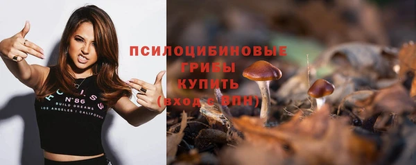 дживик Баксан