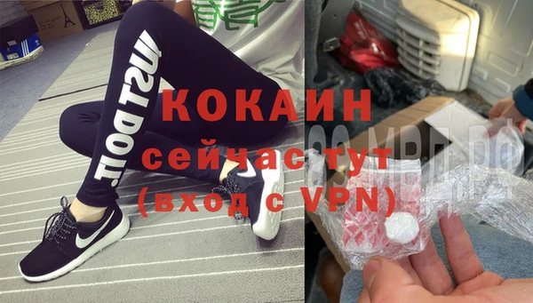 шишки Балабаново