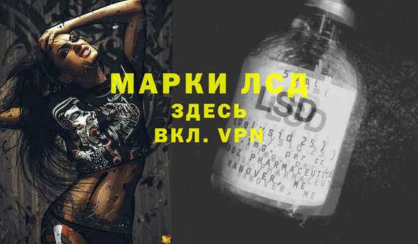дживик Баксан