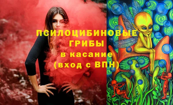 шишки Балабаново