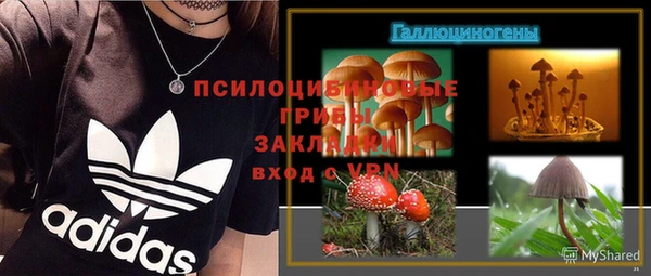 шишки Балабаново