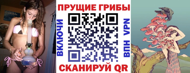 Псилоцибиновые грибы Psilocybine cubensis  где можно купить   Кунгур 